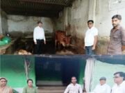 दुग्ध समृध्दि सम्पर्क अभियान के अंतर्गत राज्य स्तरीय नोडल अधिकारी डॉ.सिंह एवं उप संचालक डॉ.पक्षवार द्वारा किया गया पांच विकासखंडों का भ्रमण