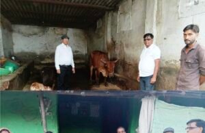 दुग्ध समृध्दि सम्पर्क अभियान के अंतर्गत राज्य स्तरीय नोडल अधिकारी डॉ.सिंह एवं उप संचालक डॉ.पक्षवार द्वारा किया गया पांच विकासखंडों का भ्रमण