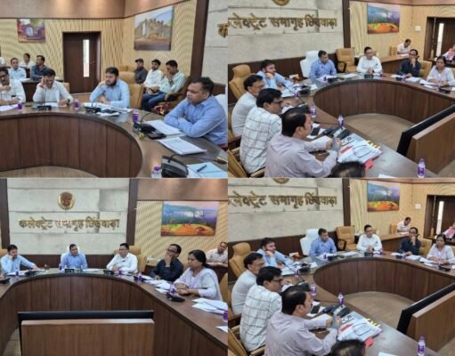 कलेक्टर श्री नारायन ने की समय सीमा प्रकरणों की समीक्षा