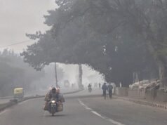 पचमढ़ी से भी ठंडा रहा भोपाल, इंदौर का पारा भी लुढ़का, तापमान पहुंचा 14 डिग्री!