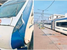 वंदे भारत की रफ्तार पर मवेशी लगा रहे ब्रेक, बार-बार टकराने की घटनाओं से रेलवे और यात्री परेशान