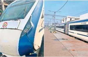 वंदे भारत की रफ्तार पर मवेशी लगा रहे ब्रेक, बार-बार टकराने की घटनाओं से रेलवे और यात्री परेशान