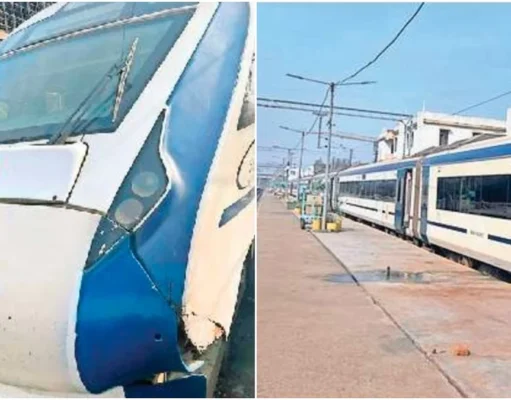 वंदे भारत की रफ्तार पर मवेशी लगा रहे ब्रेक, बार-बार टकराने की घटनाओं से रेलवे और यात्री परेशान