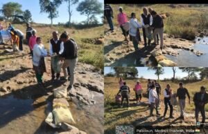 *जल संचय अभियान के तहत ग्राम पालादोन में ग्रामीणों ने रोका पानी*