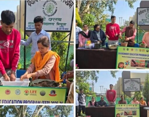 महाविद्यालय बिछुआ में नर्सरी विकास एवं लीफ कम्पोस्टिंग पर हैंड्स-ऑन प्रशिक्षण सफलतापूर्वक संपन्न