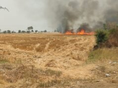 अज्ञात कारणों से लगी आग, गांव में मचा हड़कंप