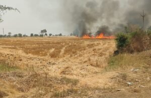 अज्ञात कारणों से लगी आग, गांव में मचा हड़कंप