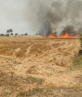 अज्ञात कारणों से लगी आग, गांव में मचा हड़कंप